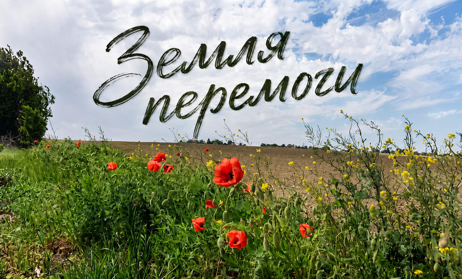 Проєкт «Земля перемоги» — відновлення ґрунтів через журналістику і науку. Фото: Агробізнес Сьогодні